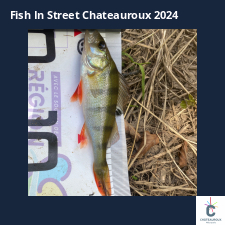 photo prise 33859 par Eddyfishing 
