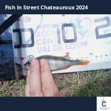 photo prise 33879 par JEAN RENE DENNETIERE