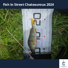 photo prise 33894 par Pecheur d'eau douce