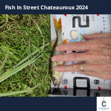 photo prise 33926 par bardiot.christophe