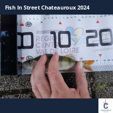 photo prise 33974 par JEAN RENE DENNETIERE