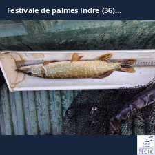 photo prise 34675 par stanislas36