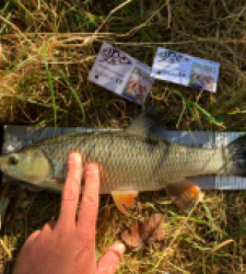 photo prise 34693 par Fullfish