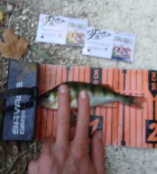 photo prise 34706 par Theo-fishing16