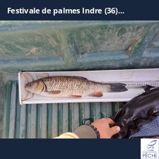 photo prise 34723 par Matéo Cordelet
