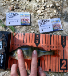 photo prise 34751 par Theo-fishing16