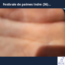 photo prise 34770 par Dim