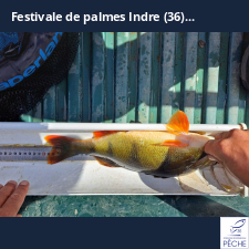 photo prise 34775 par Dim