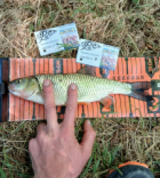 photo prise 34783 par Theo-fishing16