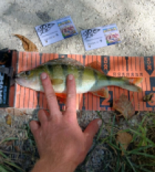 photo prise 34792 par Theo-fishing16