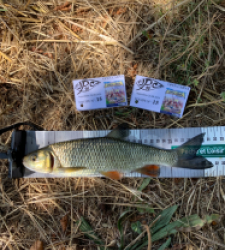 photo prise 34811 par Fullfish