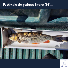 photo prise 34817 par R