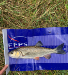 photo prise 34944 par Fullfish