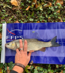 photo prise 34951 par Fullfish