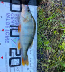 photo prise 35004 par Eddyfishing 