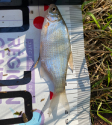 photo prise 35034 par Eddyfishing 