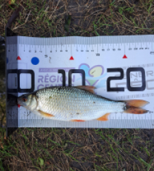 photo prise 35035 par FISH1MAX