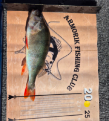 photo prise 35113 par dmz_fishing 