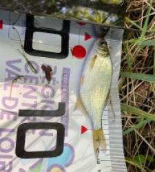 photo prise 35129 par Eddyfishing 