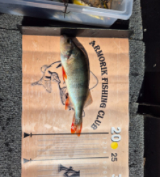 photo prise 35176 par dmz_fishing 