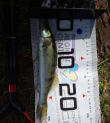 photo prise 35179 par FISH1MAX