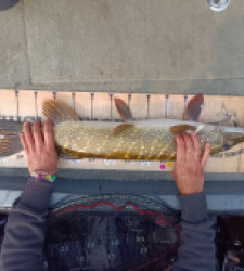 photo prise 35768 par thibaut
