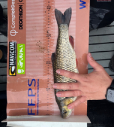 photo prise 36312 par ULTRA FISH