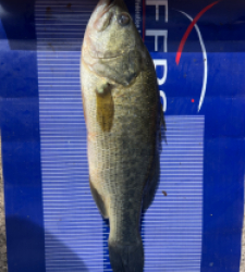 photo prise 36461 par Brochet à la bouillette 