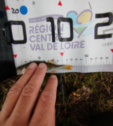 photo prise 36610 par Tom37