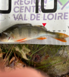 photo prise 36669 par Louis
