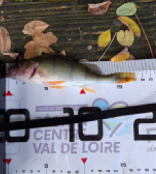 photo prise 36720 par Baptiste