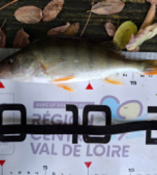 photo prise 36721 par Baptiste