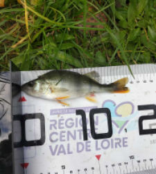 photo prise 36728 par ticou8
