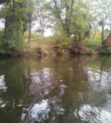 photo prise 37121 par Tom37