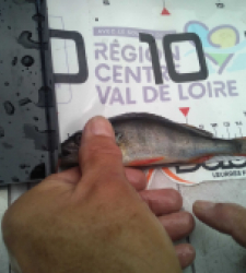 photo prise 37124 par Pecheur d'eau douce