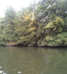 photo prise 37137 par Pecheur d'eau douce