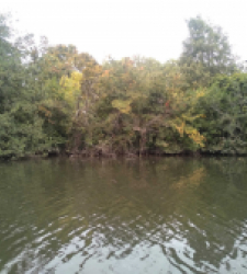 photo prise 37138 par Pecheur d'eau douce