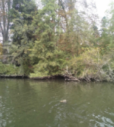 photo prise 37140 par Pecheur d'eau douce