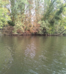 photo prise 37146 par FISH1MAX