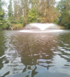 photo prise 37148 par FISH1MAX