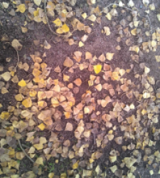 photo prise 37187 par maeght.sebastien