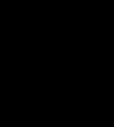 photo prise 37286 par Saussaye TIMEO
