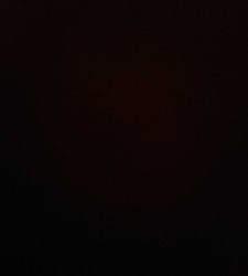 photo prise 37297 par enzo.sainton