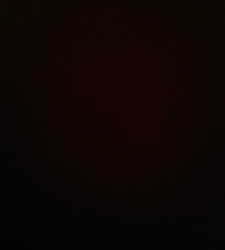 photo prise 37298 par enzo.sainton