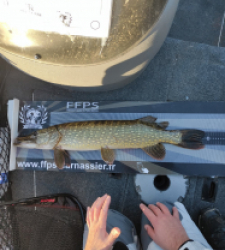 photo prise 37567 par Fisherman23