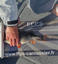 photo prise 37691 par Thierry cheramy