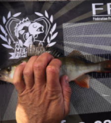 photo prise 37868 par Esox stradic