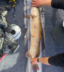 photo prise 37937 par Carna_flo Fishing 