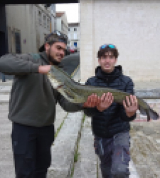 photo prise 38291 par Lucas