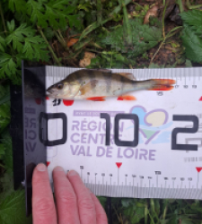 photo prise 38293 par FISH1MAX